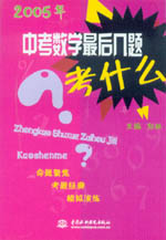 中考數學最后幾題考什么