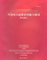 中國電力監(jiān)管機(jī)構(gòu)能力建設(shè)研究報告