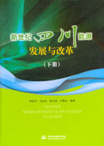 新世紀(jì)四川能源發(fā)展與改革（下冊）
