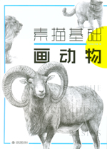素描基礎(chǔ)  畫(huà)動(dòng)物