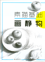 素描基礎(chǔ)  畫(huà)靜物