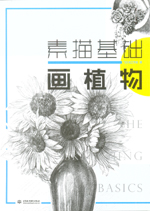 素描基礎  畫植物